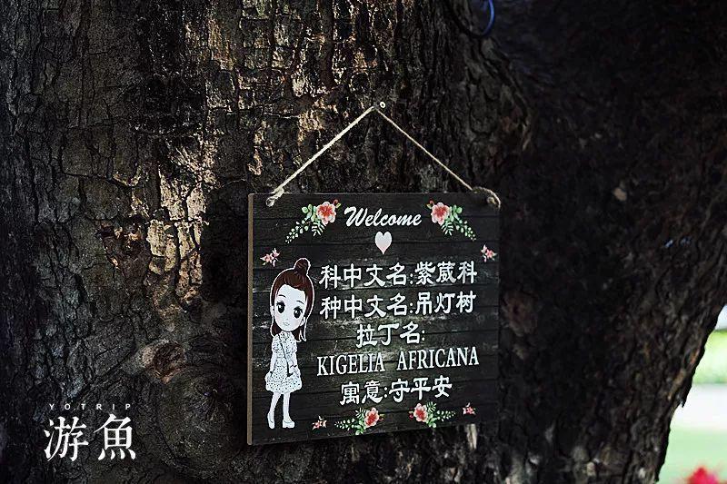探索蜗牛世界,尽在奶山羊吃苜蓿得胃胀气怎么治问答平台